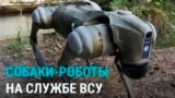 Украинские военные начали использовать на фронте роботов-собак: как они работают?